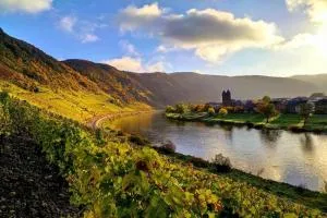 Ferienweingut Gansen Hochgenuss 2 - Valwig