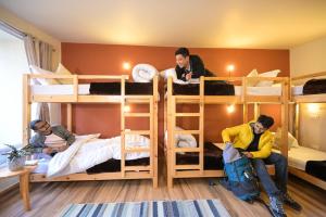 Zostel Dobhi, Manali