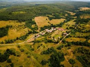Agrovillage - Făget