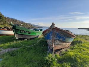 A Ballenera de Caneliñas