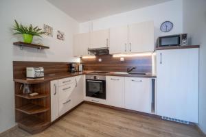 Apartmán Verča Riviera Lipno 510