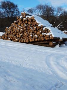 Ferienhaus Zur kleinen Kneipe