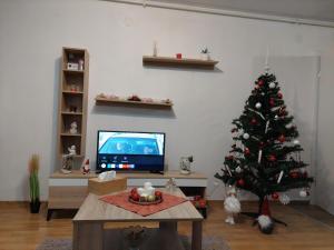 Apartament Ambrus