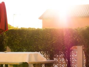 Patos Beach - Garden