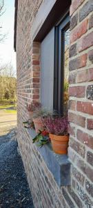 Le Gîte du Pic Vert