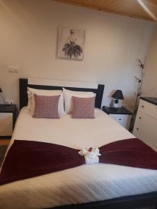 Alojamento Pelourinho