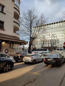 Belgrade apartment Bulevar