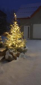 Chałupka Apartament 2