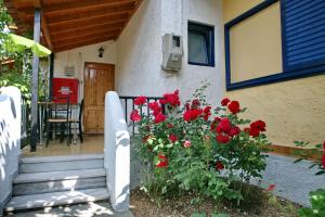 9 Musses Hotel Apartments Lesvos Greece