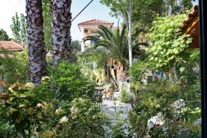 9 Musses Hotel Apartments Lesvos Greece