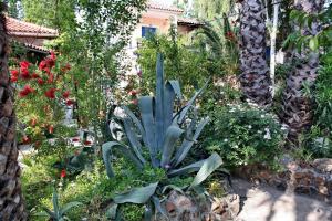 9 Musses Hotel Apartments Lesvos Greece