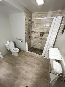 Single Room - Disability Access room in Hamilton Inn