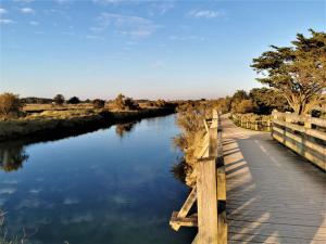 Appartements VILLA Henry - FOCH : Appartement - Vue sur Mer