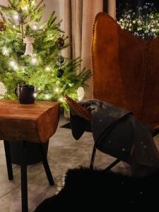 Apartamenty Piwniczna