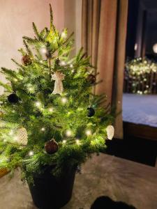 Apartamenty Piwniczna