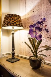 BpR R20 Studio Home with AC