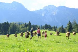 Biohof Wallnerhof - Chiemgau Karte