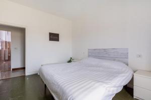 GuestHost - Bonola M1 Bright & Functional Flat