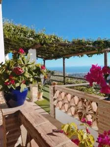 Casa Rural Las Molina - Acebuchal