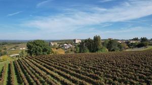 Maisons de vacances Romantic Gite nr St Emilion with Private Pool and Views to Die For : photos des chambres