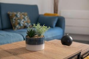 Appartements Appartement COSY Danton 2 chambres : photos des chambres