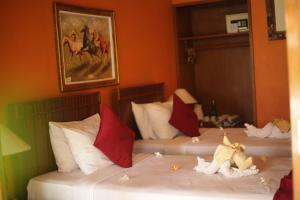 Kubuku Eco Dive Lodge and Yoga