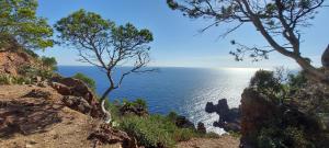 Appartements Vue exceptionnelle sur la mer et le Cap Esterel : photos des chambres