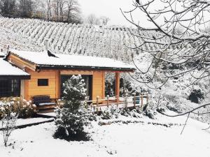 B&B / Chambres d'hotes L'etang de la Tourne : photos des chambres