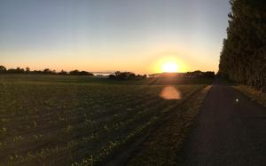 Cozy Coastal Retreat on the beach