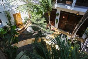 Mandala Hostel Jeri