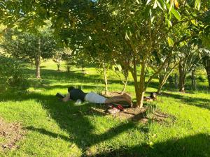 Casita Agrreste