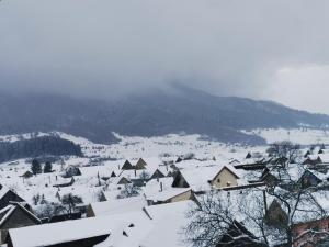 Apartament Natalie&Helen