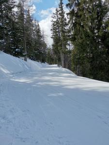 Appartements Studio chaleureux a LANSLEVILLARD VAL CENIS 2 pers : photos des chambres