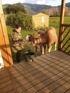 Sejours a la ferme Ferme de Chiuni : photos des chambres