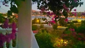 Angelika Leros Greece