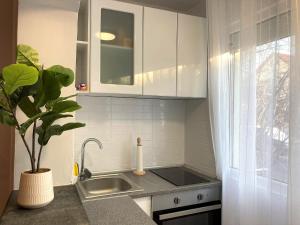 Lovely apartment in a quiet area