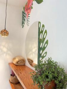 Hotel Casa de Verano - Solo adultos -