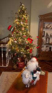 Apartamento Area Mayor