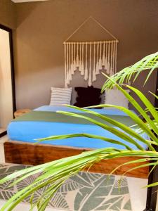 Vida Jungle Apart 1 with special fee to access Hotel Bardo