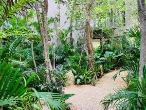 Vida Jungle Apart 1 with special fee to access Hotel Bardo