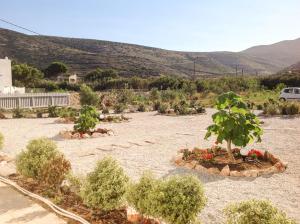 Thomas Villas on the beach Katapola Amorgos Greece