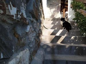 Beautiful Petrino 1880 - 4hvězdičkové hotely ve městě Ágios Nikólaos