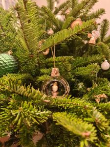 Frühstückspension Klein und Fein