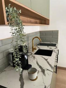 Greenwood apartments