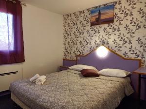 Hotels Astrotel Romorantin-Lanthenay : photos des chambres