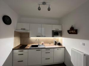 Apartman Centrum 401