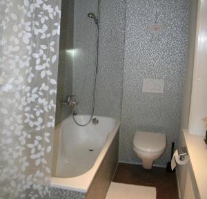 Ferienwohnung Rothorn Meiringen