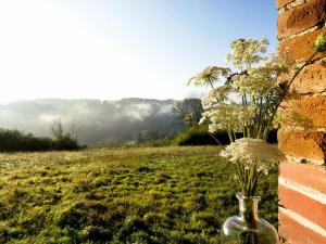 Maisons de vacances Gite Badecon-le-Pin, 6 pieces, 11 personnes - FR-1-591-13 : photos des chambres