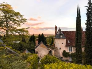 B&B / Chambres d'hotes Chateau de Nazelles Amboise : photos des chambres