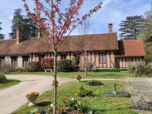 Maisons de vacances Gite Ligny-le-Ribault, 3 pieces, 4 personnes - FR-1-590-225 : photos des chambres